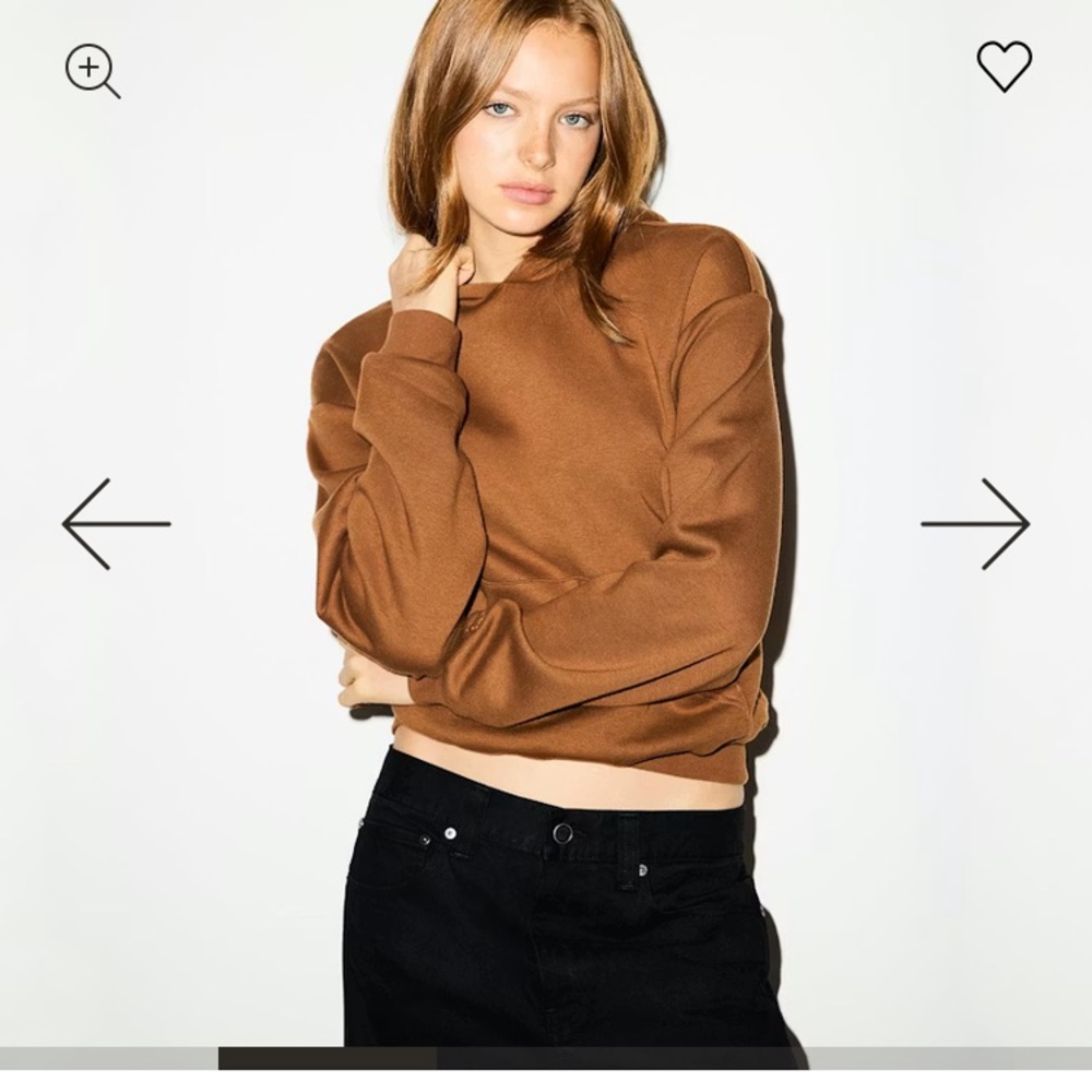 Skims NWT Cotton Fleece Classic Hoodie Bison